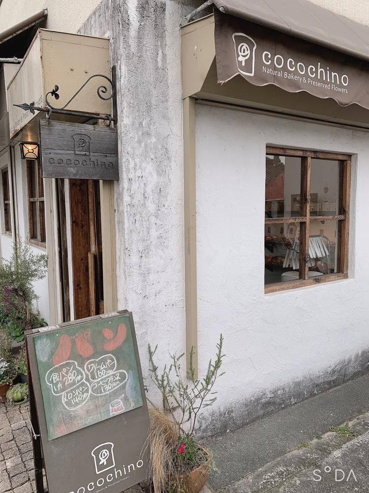 ココチーノ