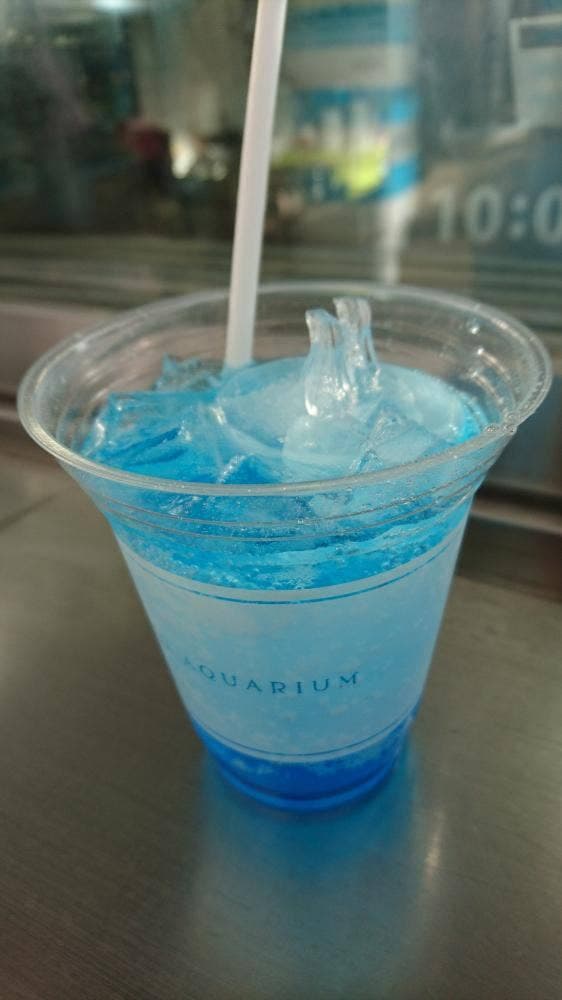 かいじゅうカフェ 京都水族館 - サブ画像1