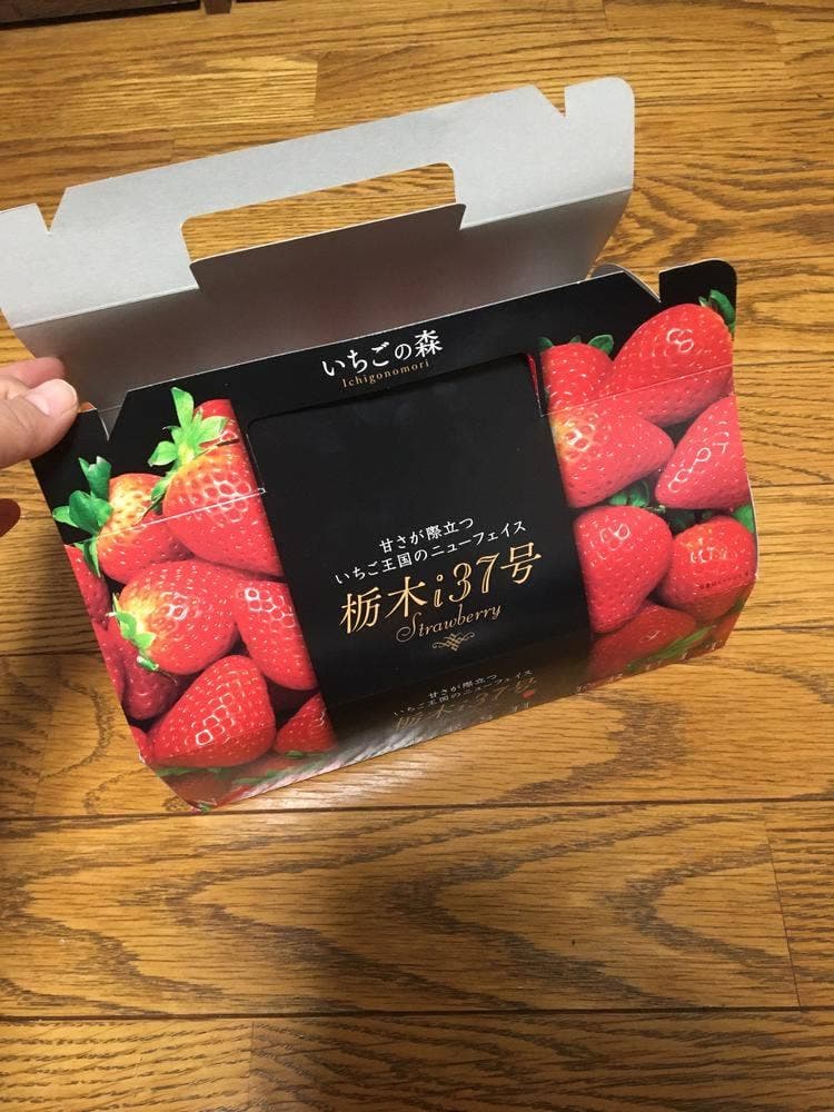 お菓子の城 那須ハートランド