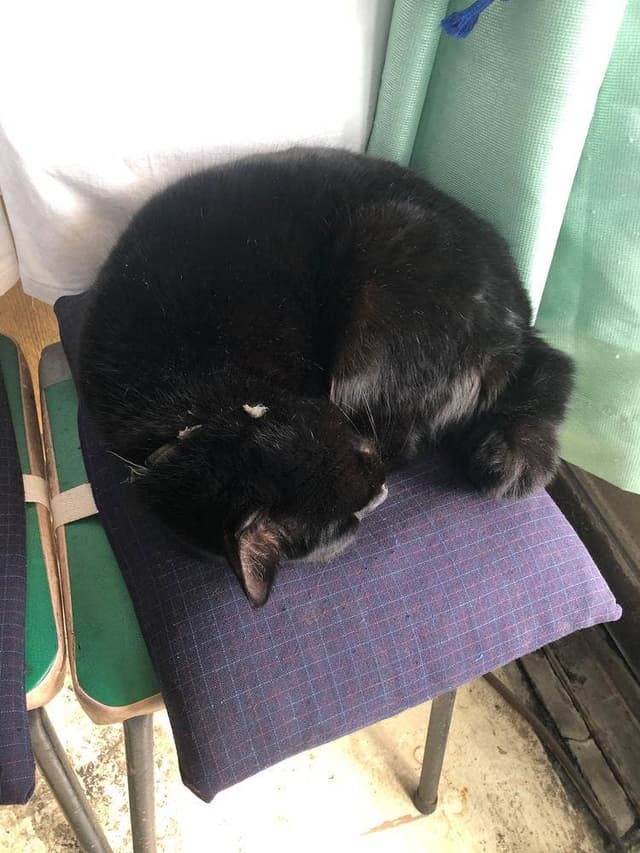 立花屋 - サブ画像2