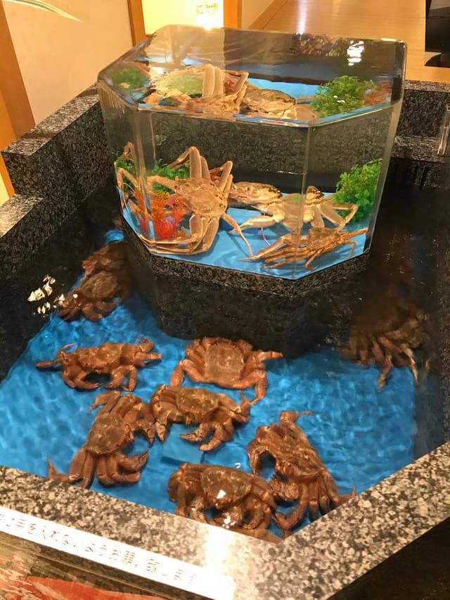 かに道楽 浜松店 - サブ画像1