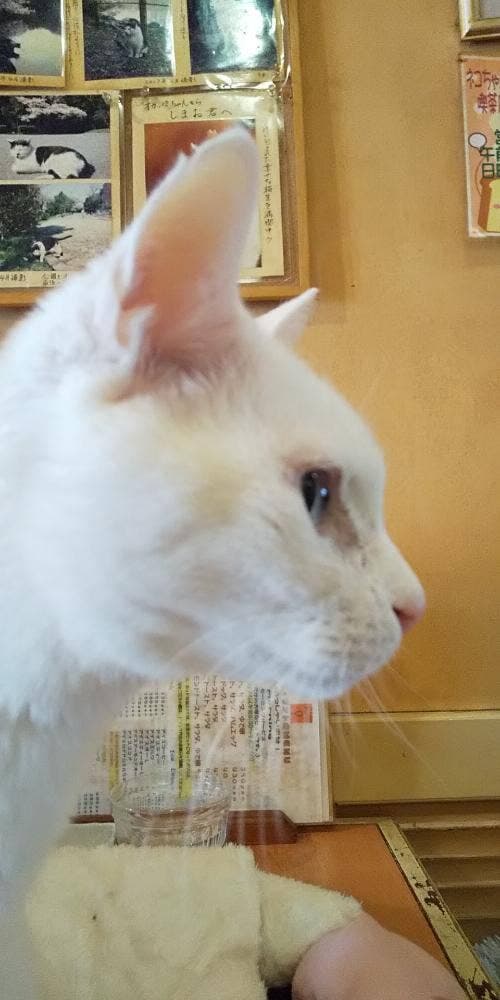 カフェ プント - サブ画像2