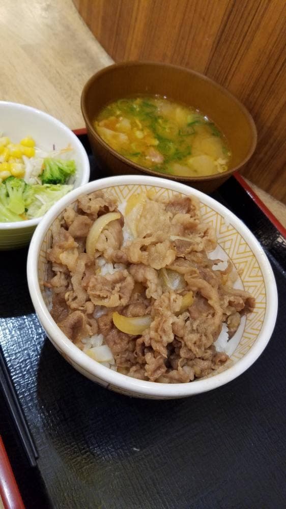 すき家 ノクティプラザ店