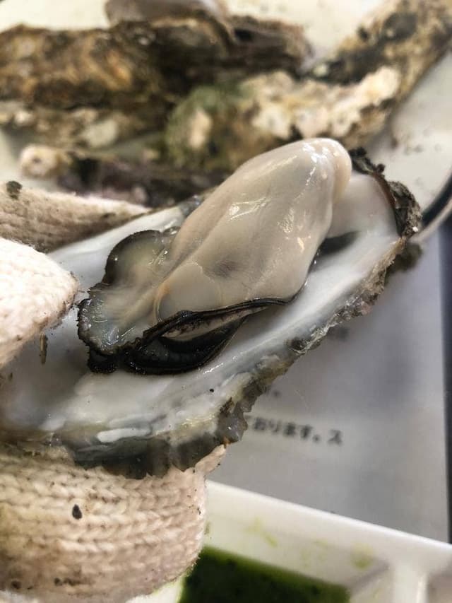 久保田水産 - サブ画像3