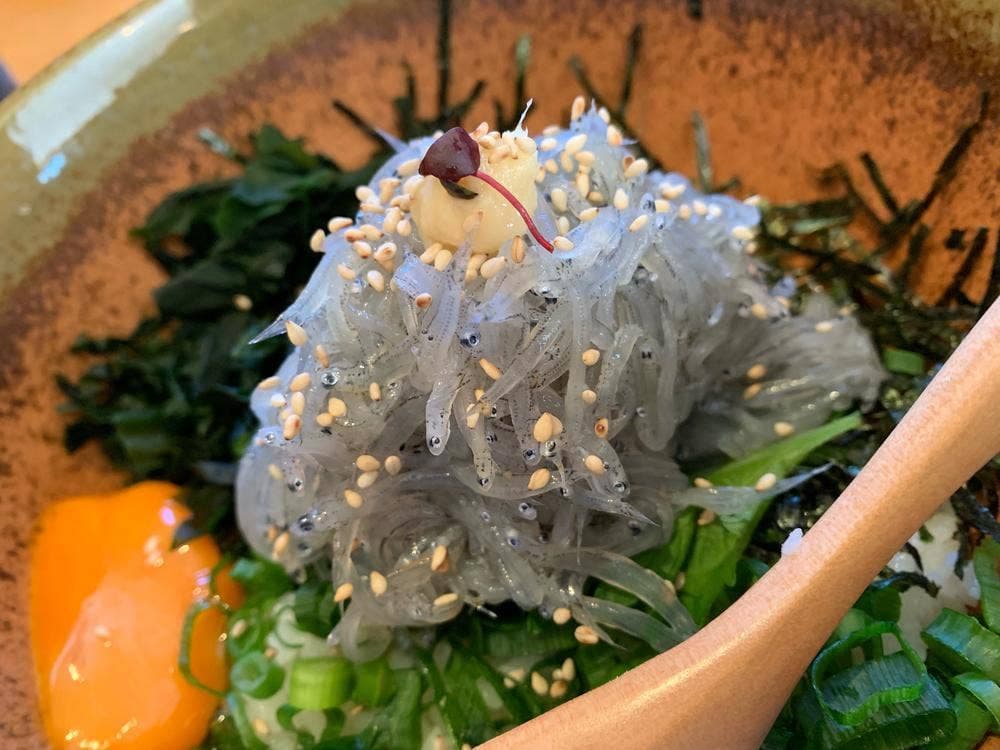 しらす屋ゆあさ湾 則種