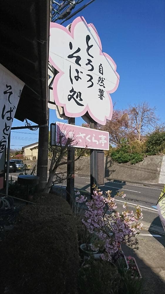 伊豆さくら亭