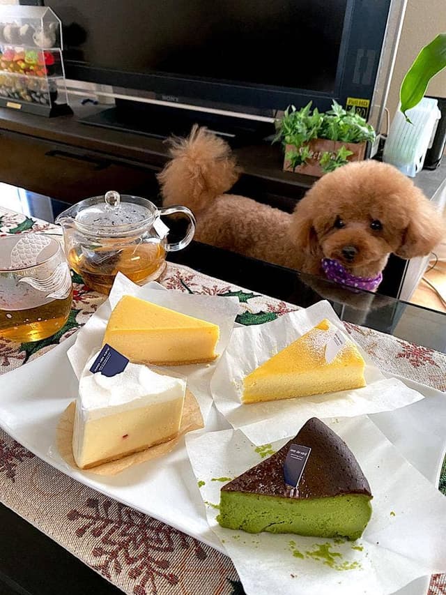 cheese cake mania! 稲沢店 - サブ画像2
