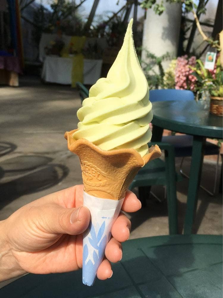 とっとり花回廊 ソフトクリーム売店