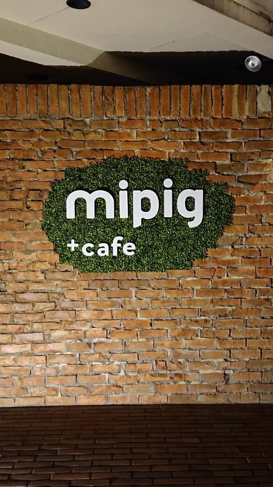 mipig cafe 原宿店 - サブ画像1