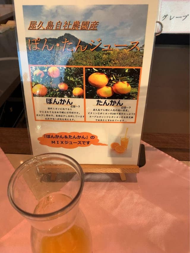 ティエラ 種子島いわさきホテル - サブ画像1