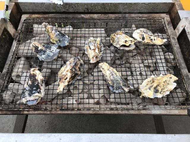 飛龍丸 - サブ画像1