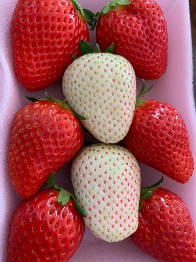 カフェ アンジェ・フレーゼ - サブ画像3