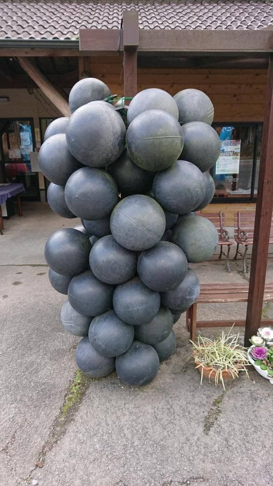 宮田ファミリーぶどう園直売所 - サブ画像3