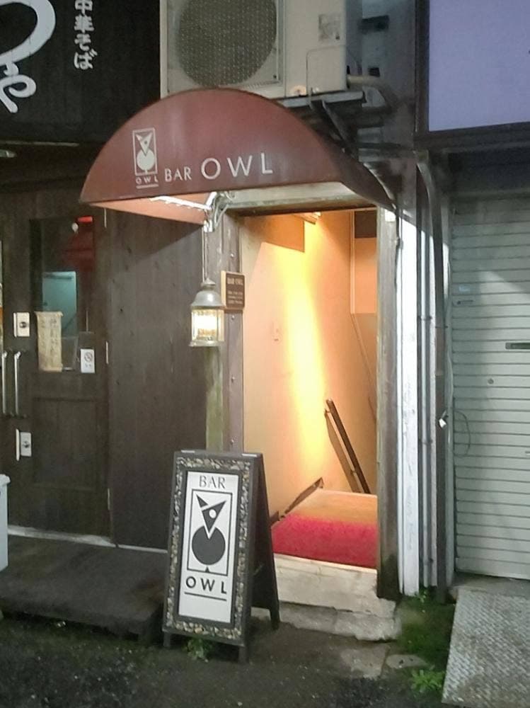 BAR OWL