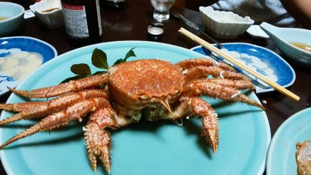 直木