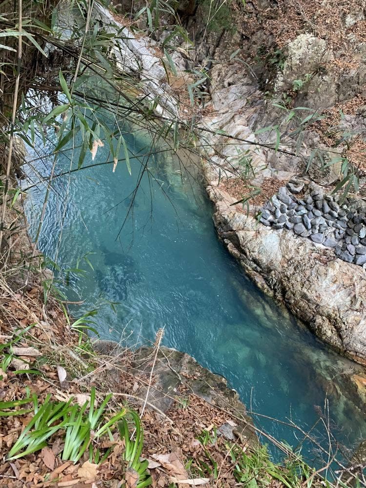 柏屋旅館