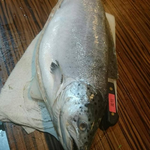 備長炭炭焼焼鳥.鶏出汁おでん 影 - サブ画像2