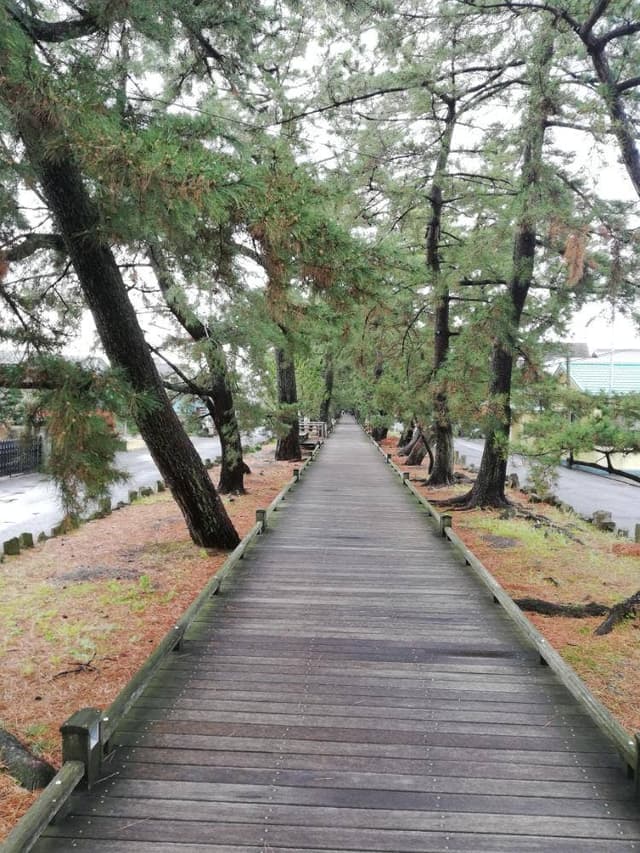 いちまる水産 - サブ画像3