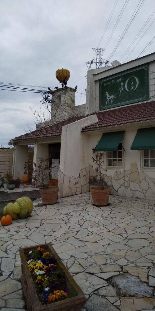 Yellow Pumpkin 日進本店 - サブ画像1