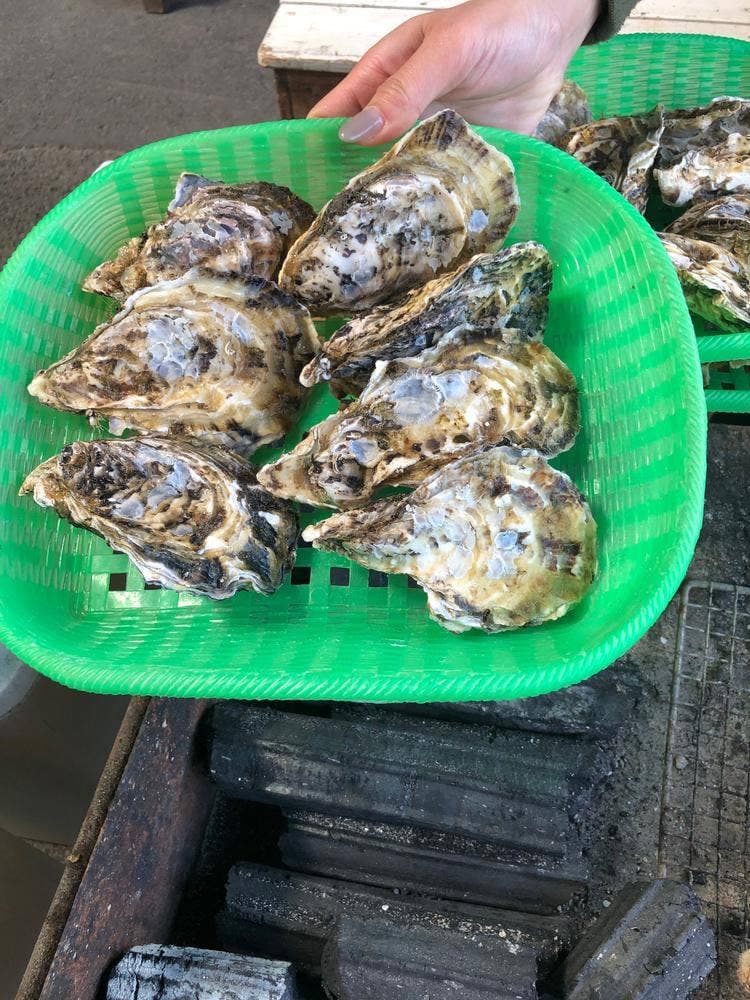 唐泊恵比須かき カキ小屋