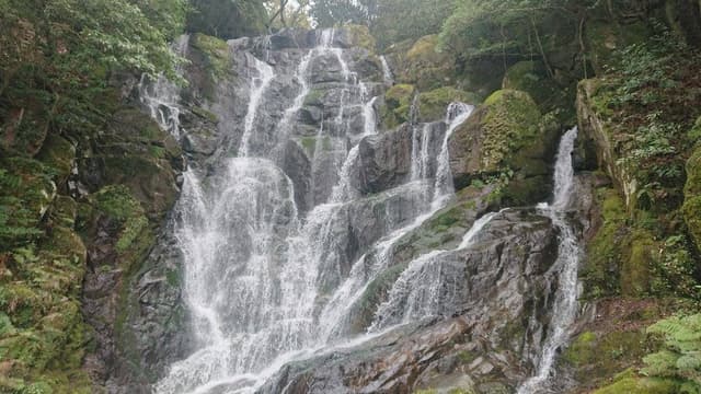 白糸の滝ふれあいの里 四季の茶屋 - サブ画像2