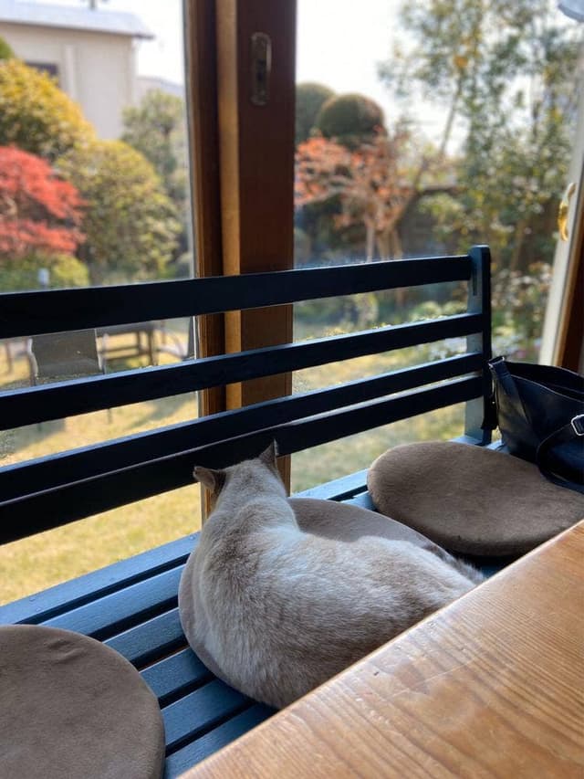 Catnip Garden Cafe - サブ画像1
