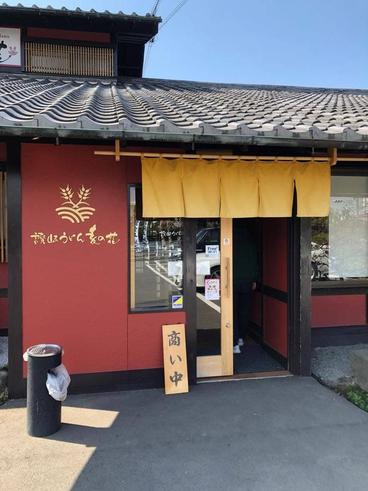 麦の花 讃岐うどん