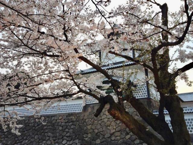 兼六坂 金澤さくら亭 - サブ画像1