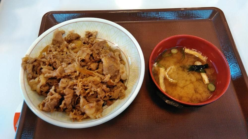 すき家 海老名河原口店