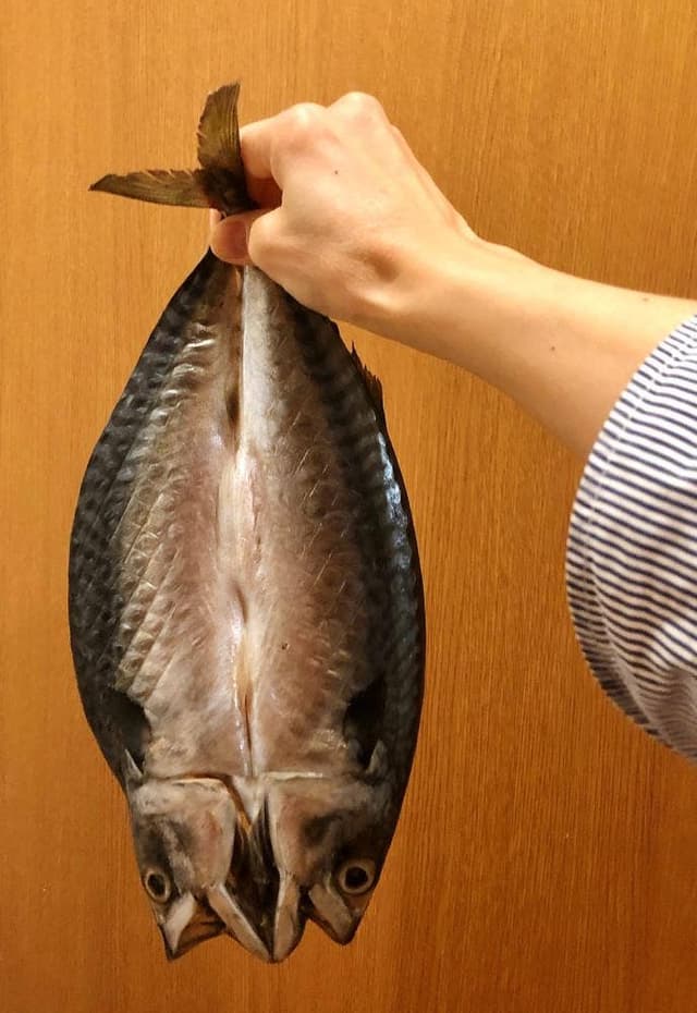 ひもの塾 伊勢店 - サブ画像2