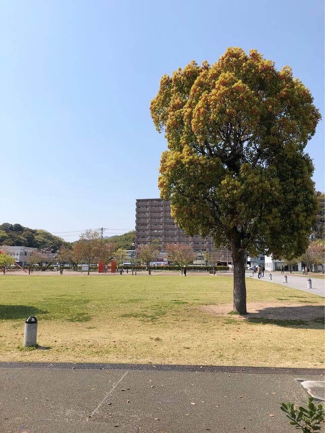 スターバックス コーヒー 山口市中央公園店 - サブ画像3