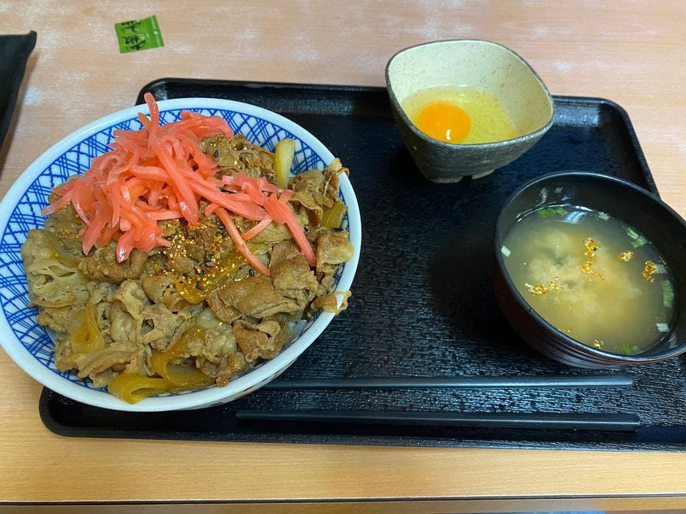 吉野家 1号線安城店