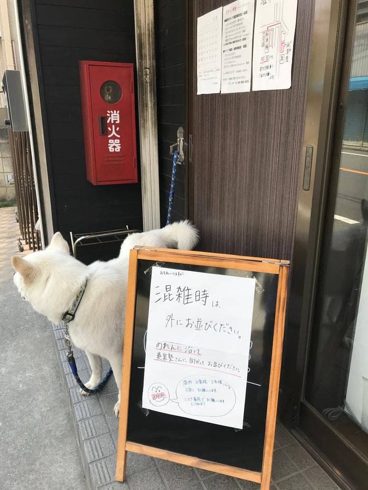 麻凛堂