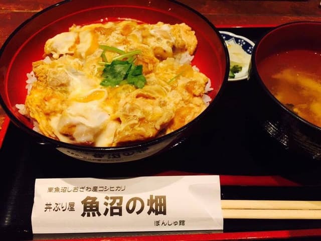 魚沼の畑 - サブ画像2