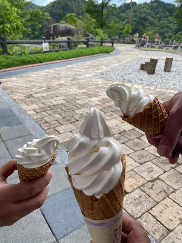 道の駅 おばあちゃん市・山岡 - サブ画像3