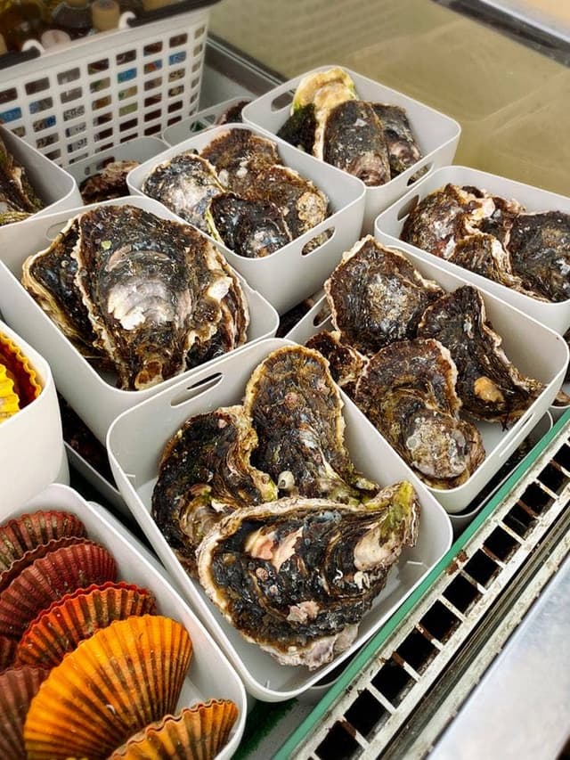 シマノカキ シンエイマル - サブ画像1