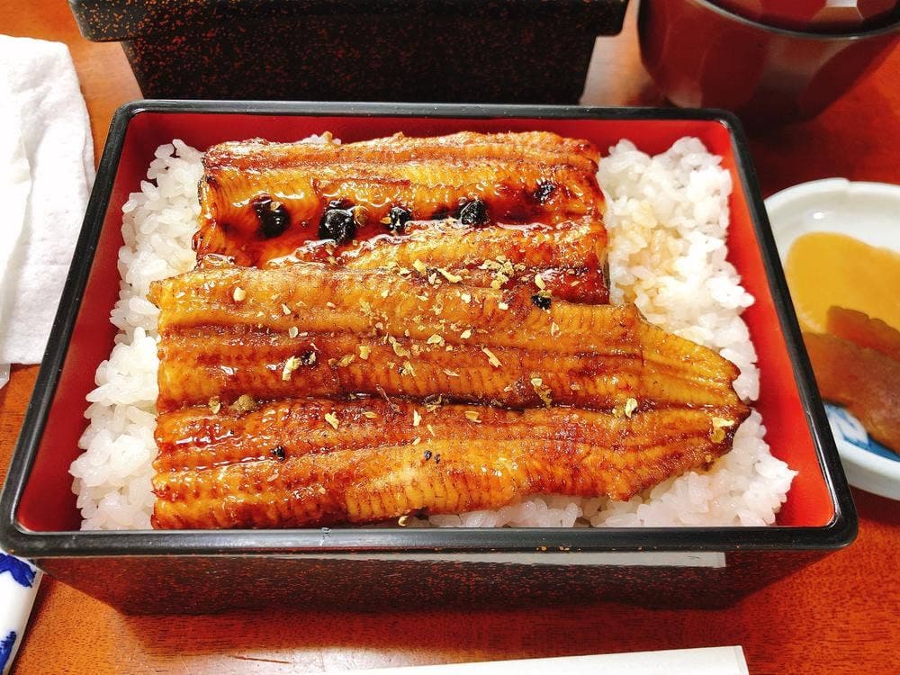 うなぎ割烹 駒弥