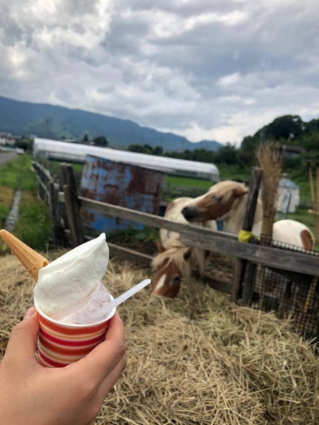 信州 みのわ愛す工房 - サブ画像3