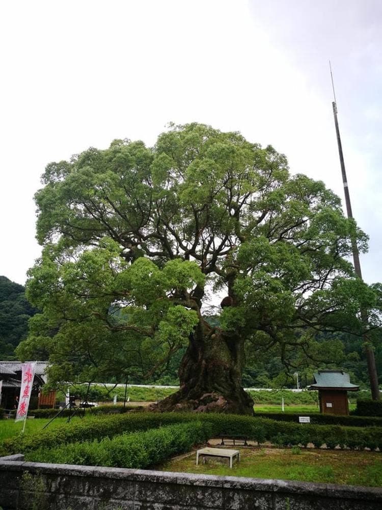 為朝館
