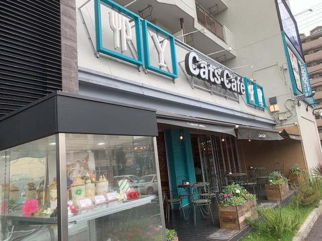キャッツカフェ港店 - サブ画像3
