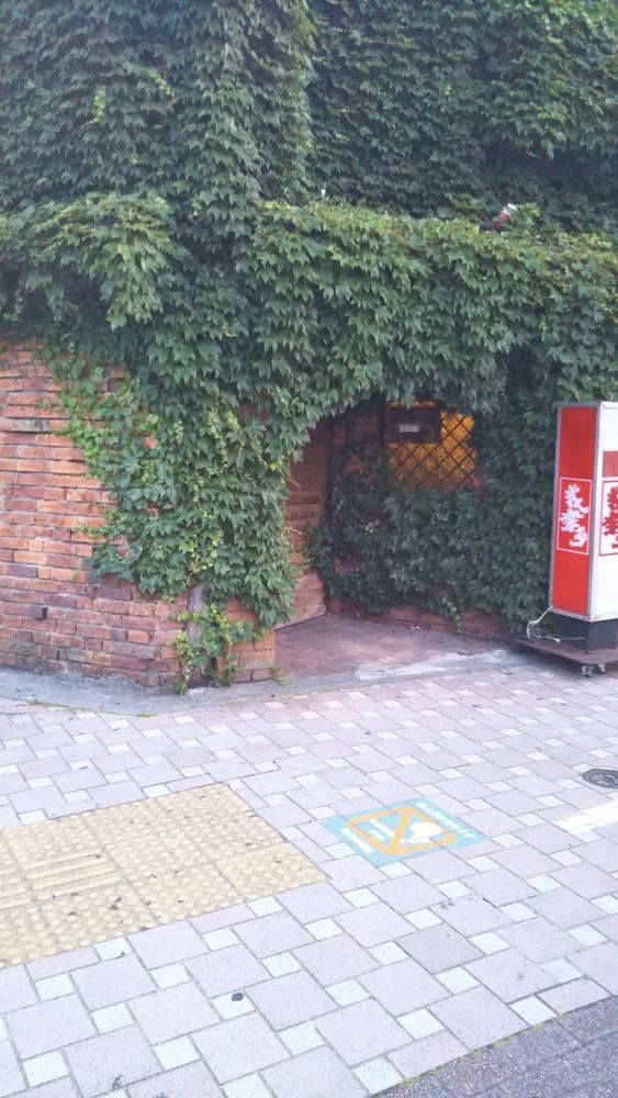 我楽多