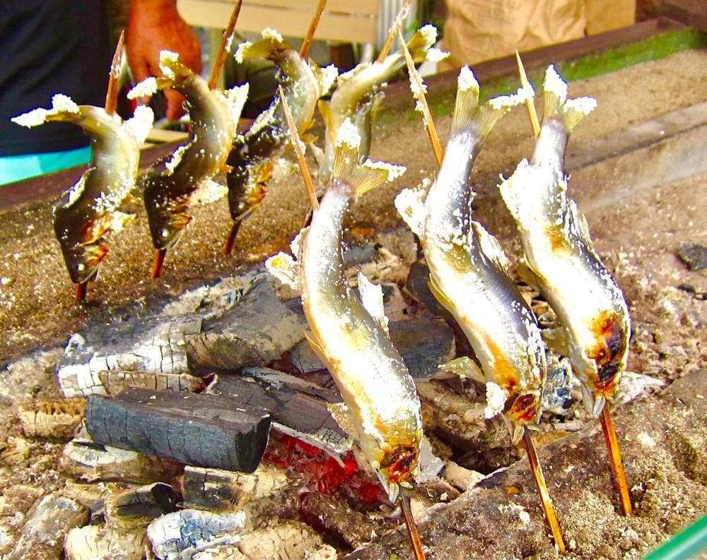 鮎の駅 石田踊店