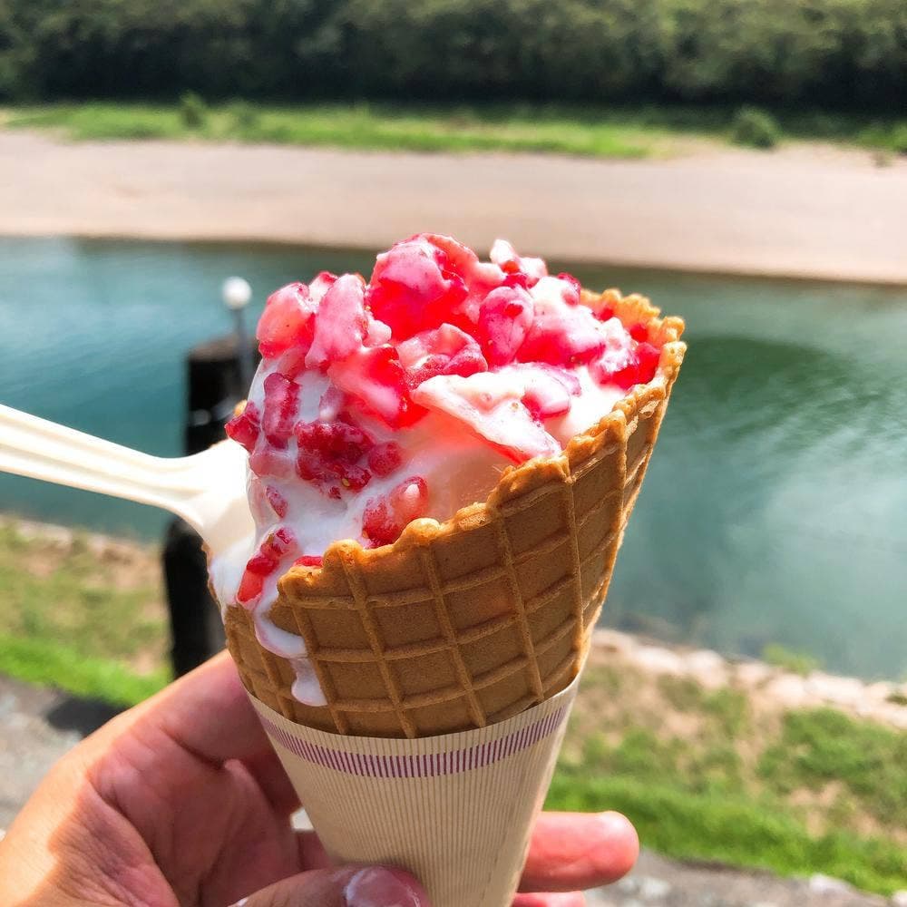 伊集園 八多喜店