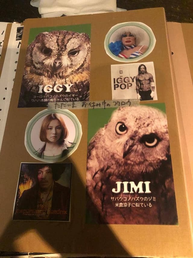 パクチーバル8889 - サブ画像3