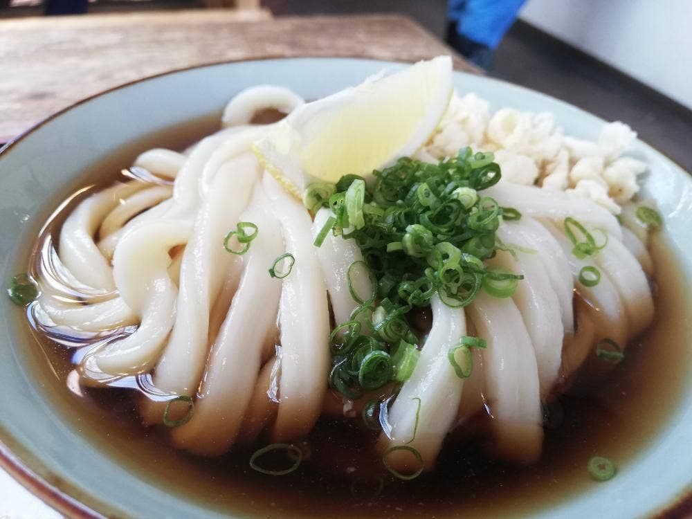 三野うどん いちふじ