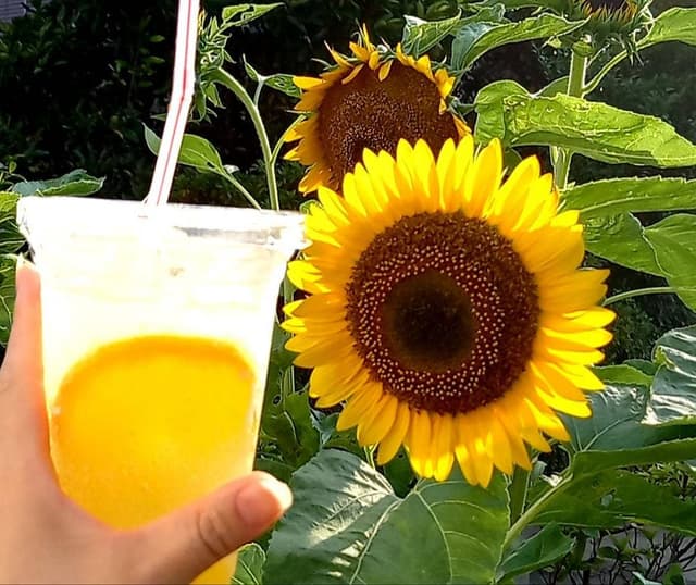 ケンタッキーフライドチキン 船橋芝山店 - サブ画像1