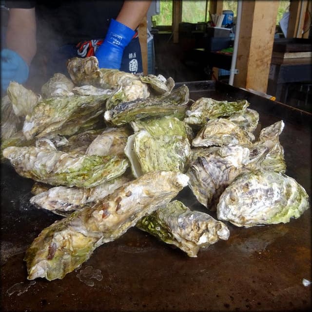 元祖かき小屋 スッツ・オイスタービレッジ - サブ画像2