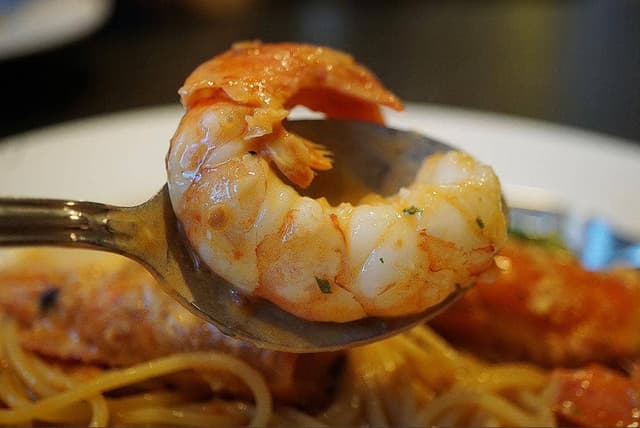 トラットリア ヴィヴィオ - サブ画像1