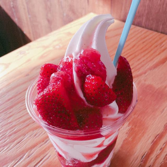 地球のアイス - サブ画像3