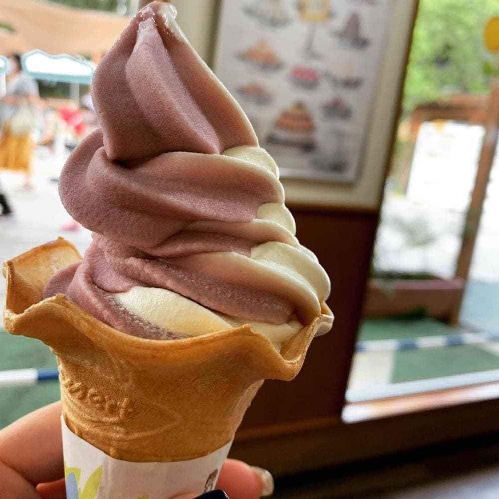 愛知牧場 手作りジェラート売店